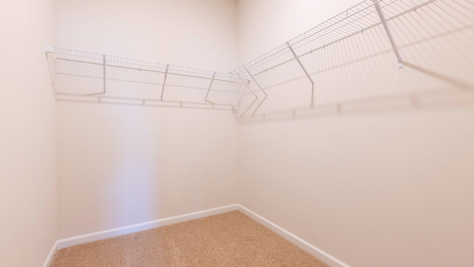 primary walk in closet