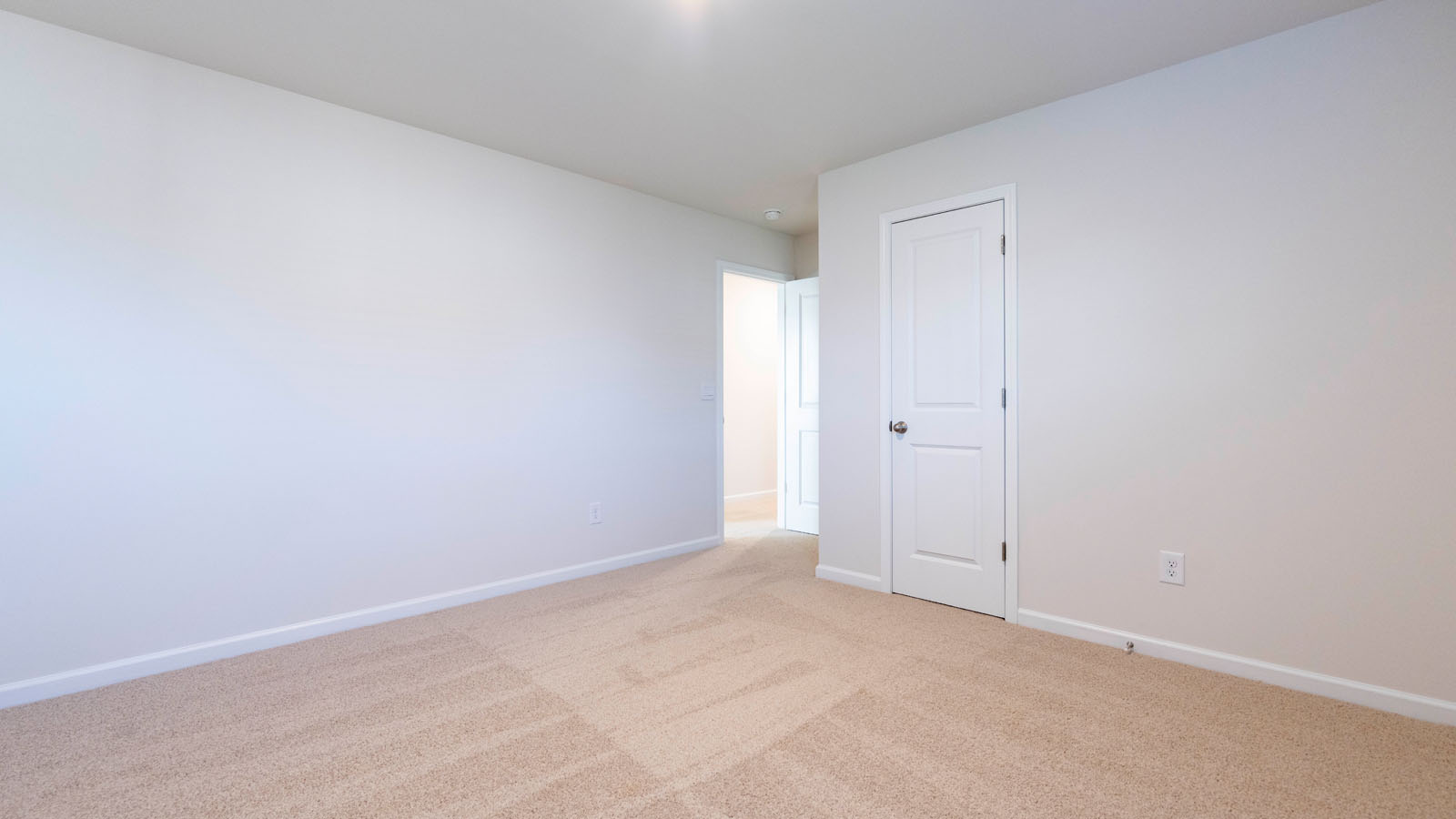 secondary bedroom with carpet