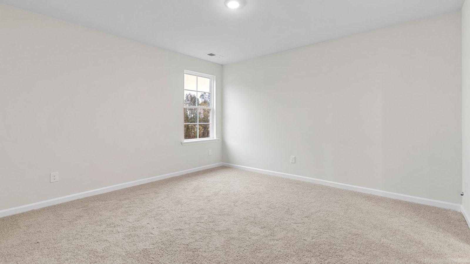 bedroom with carpet and 1 window