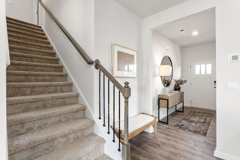 Stairs with carpet