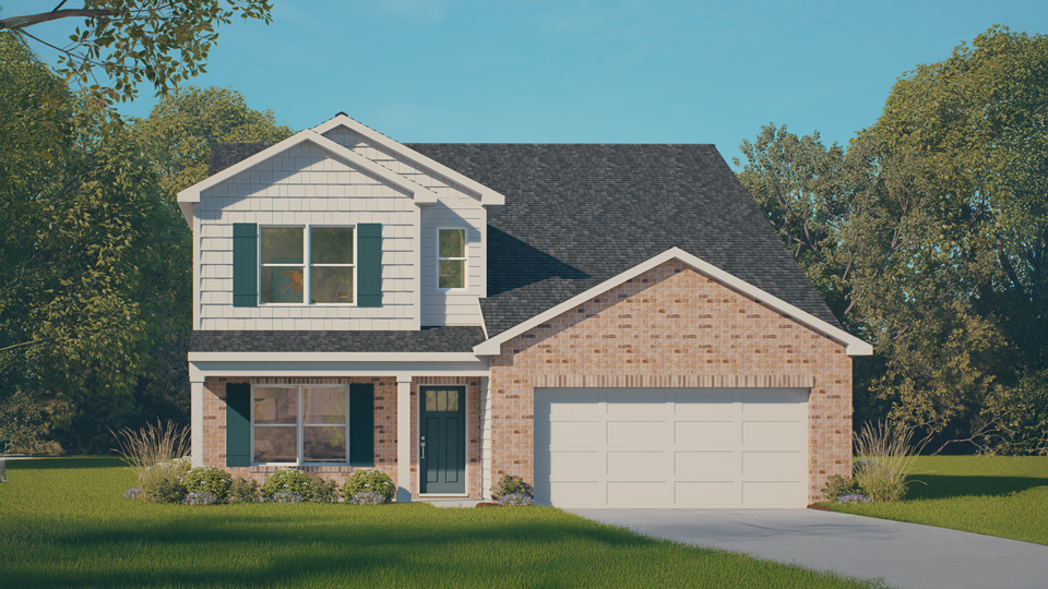 rendering