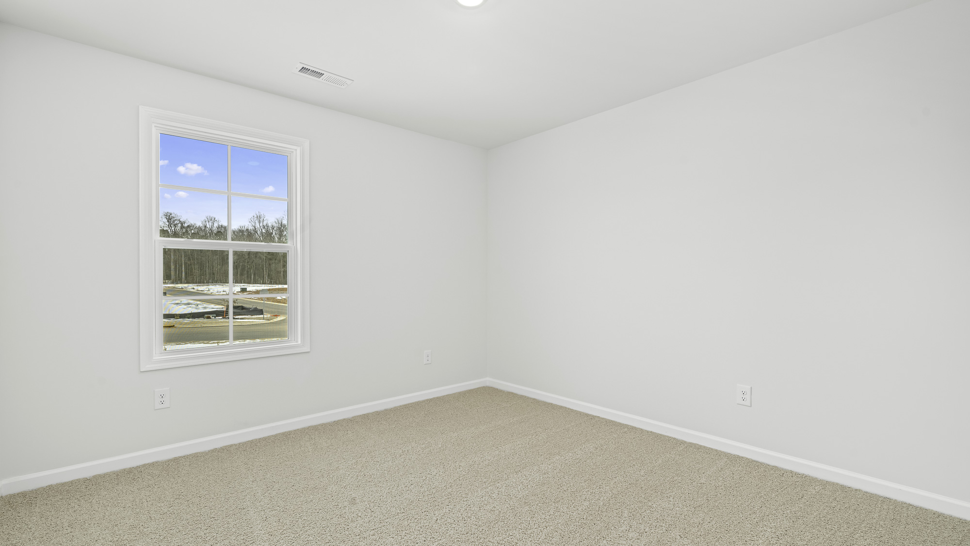 bedroom with carpet