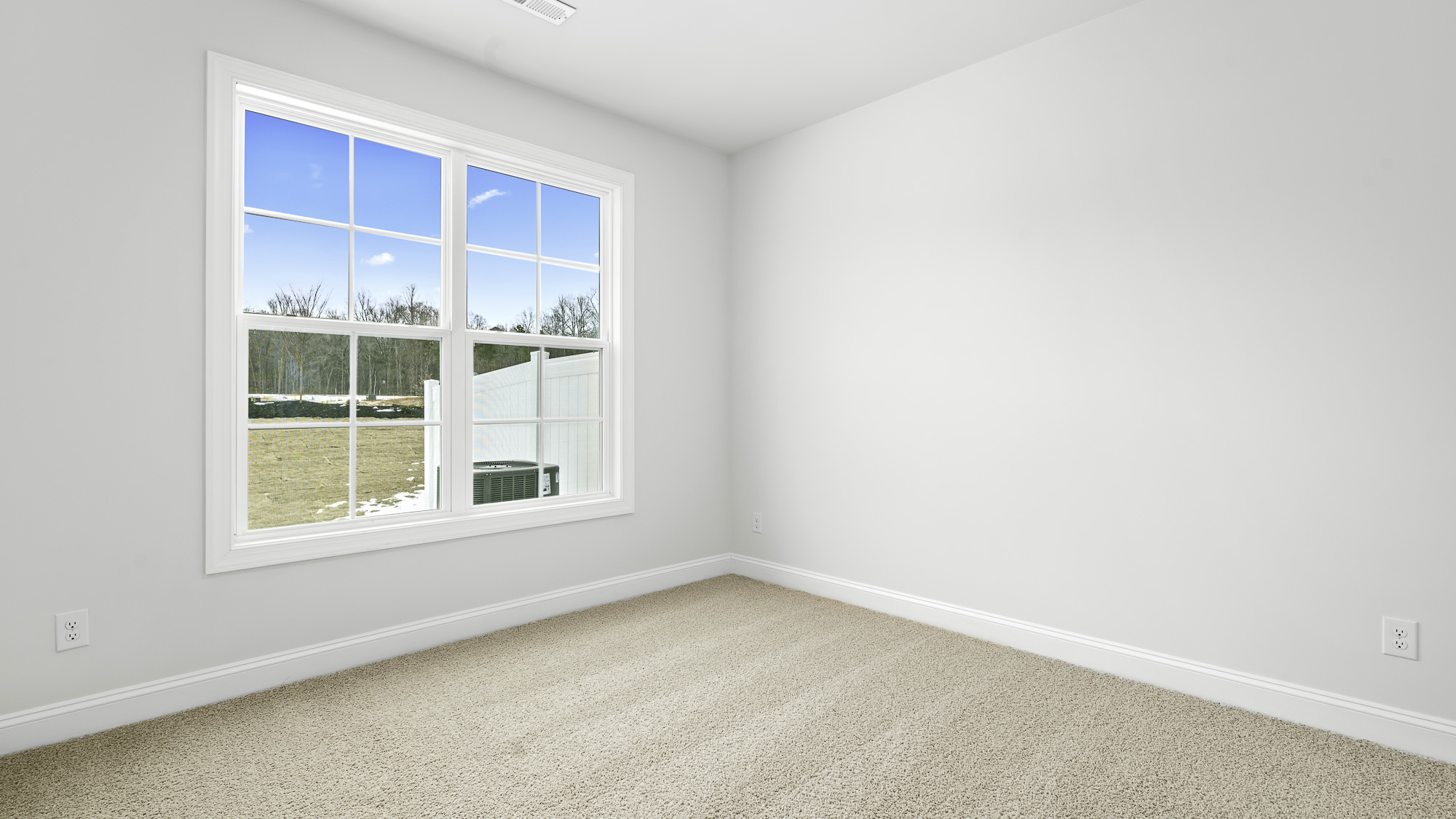 bedroom with carpet