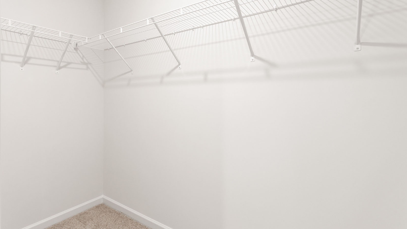 Walk-in storage area featuring wall-to-wall carpeting and white wire shelving
