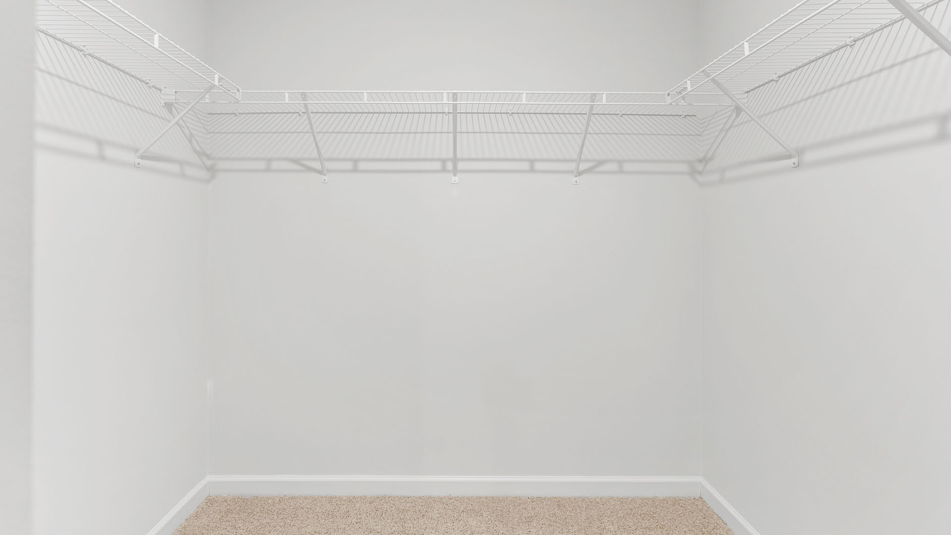 closet with wireshelvign