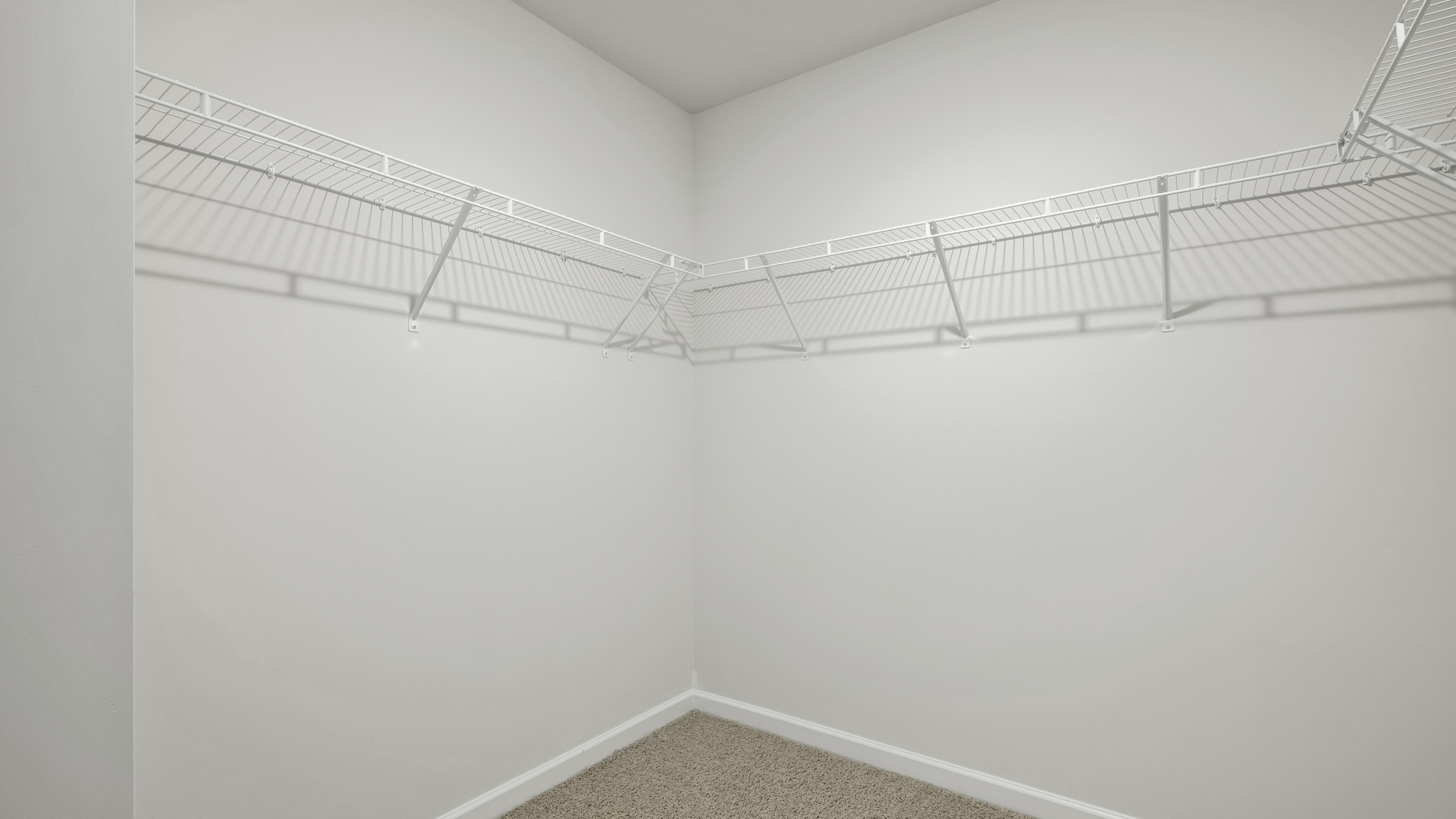 Walk-in closet featuring wall-to-wall carpeting and white wire shelving