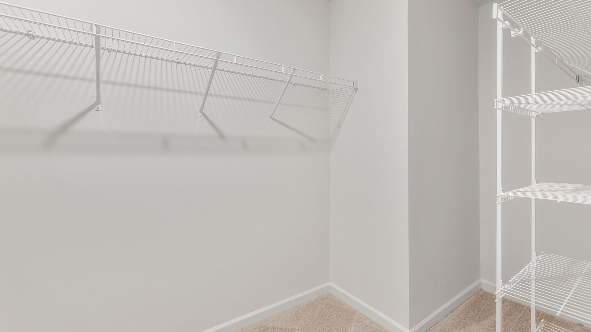 closet with wireshelving