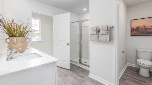 primary bathroom