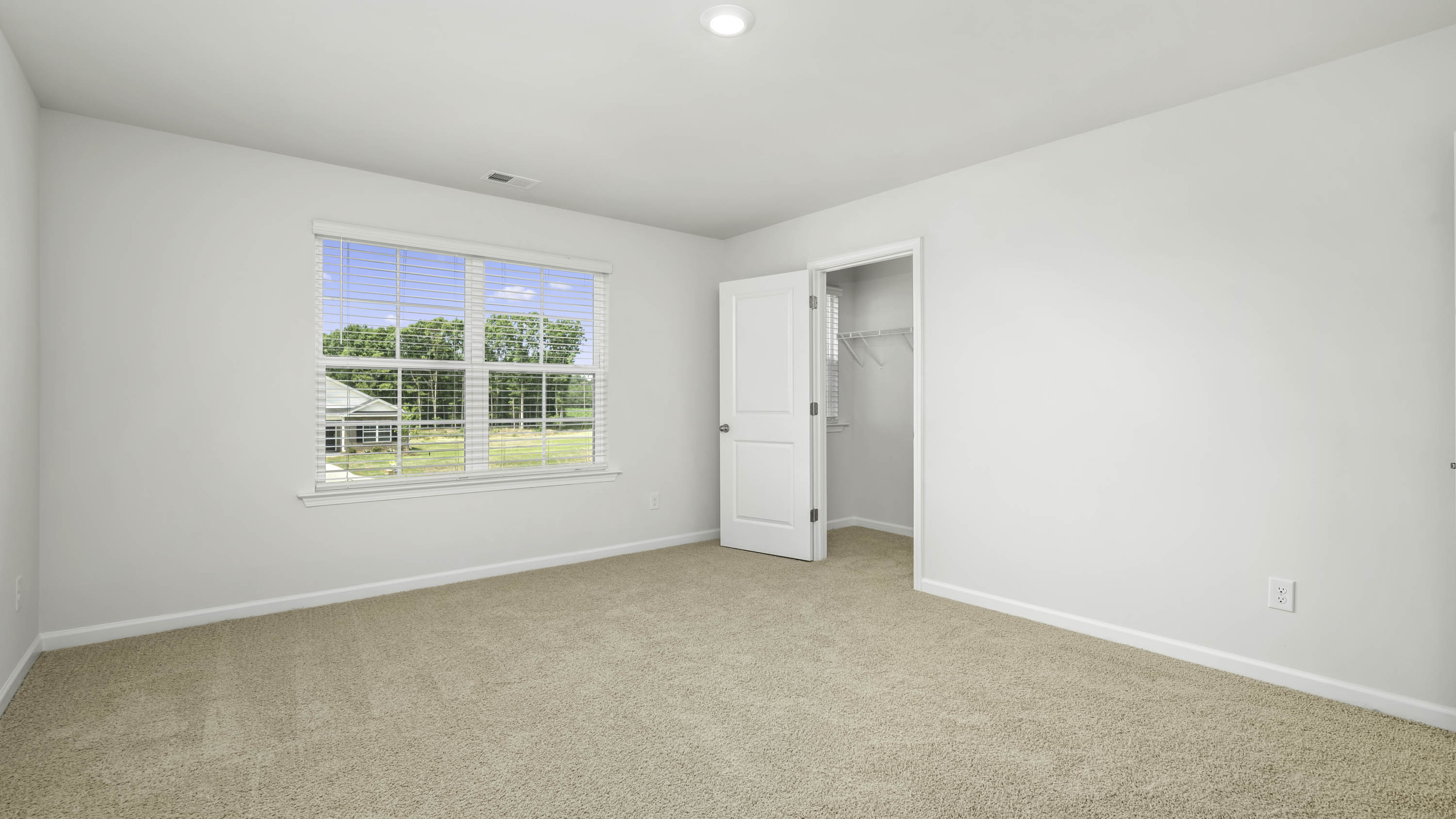 primary with windows