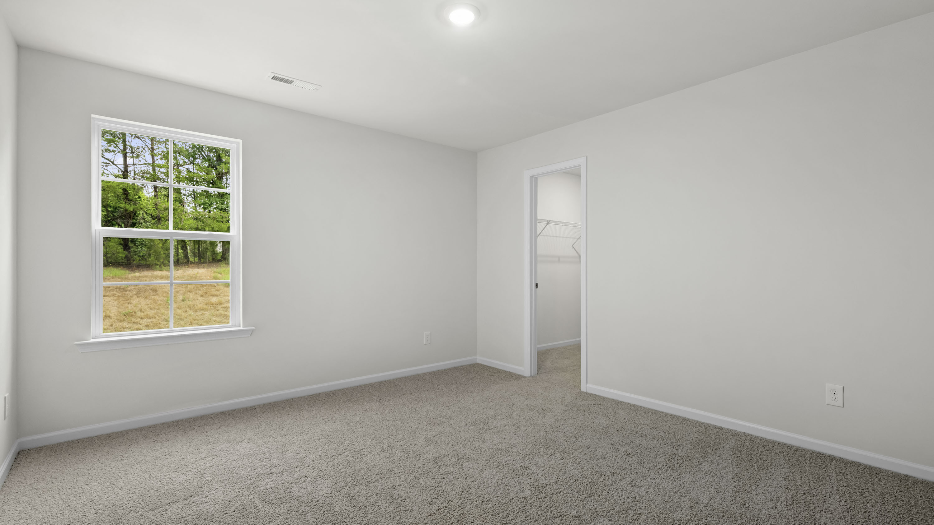 secodnary with carpet