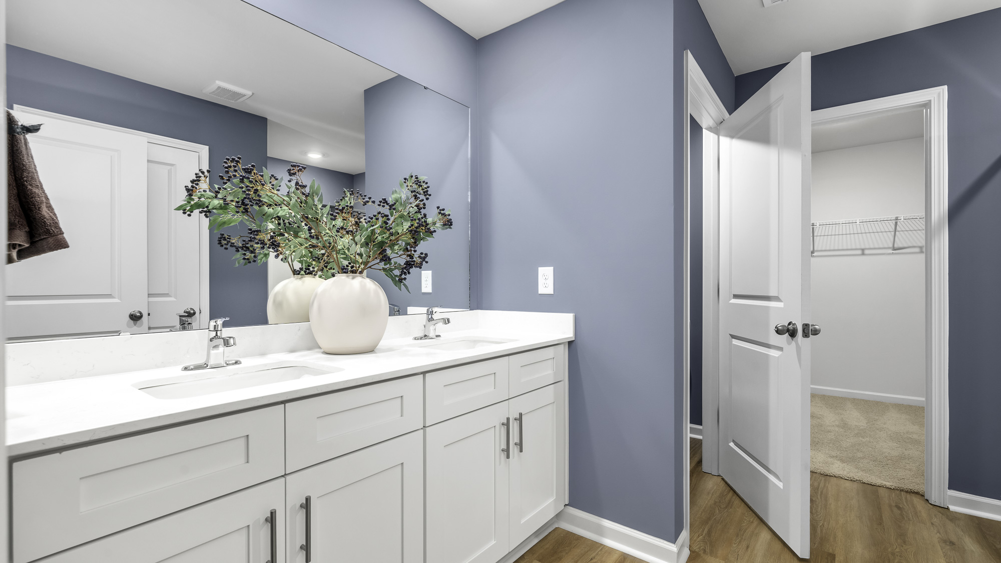 primary dual sinks