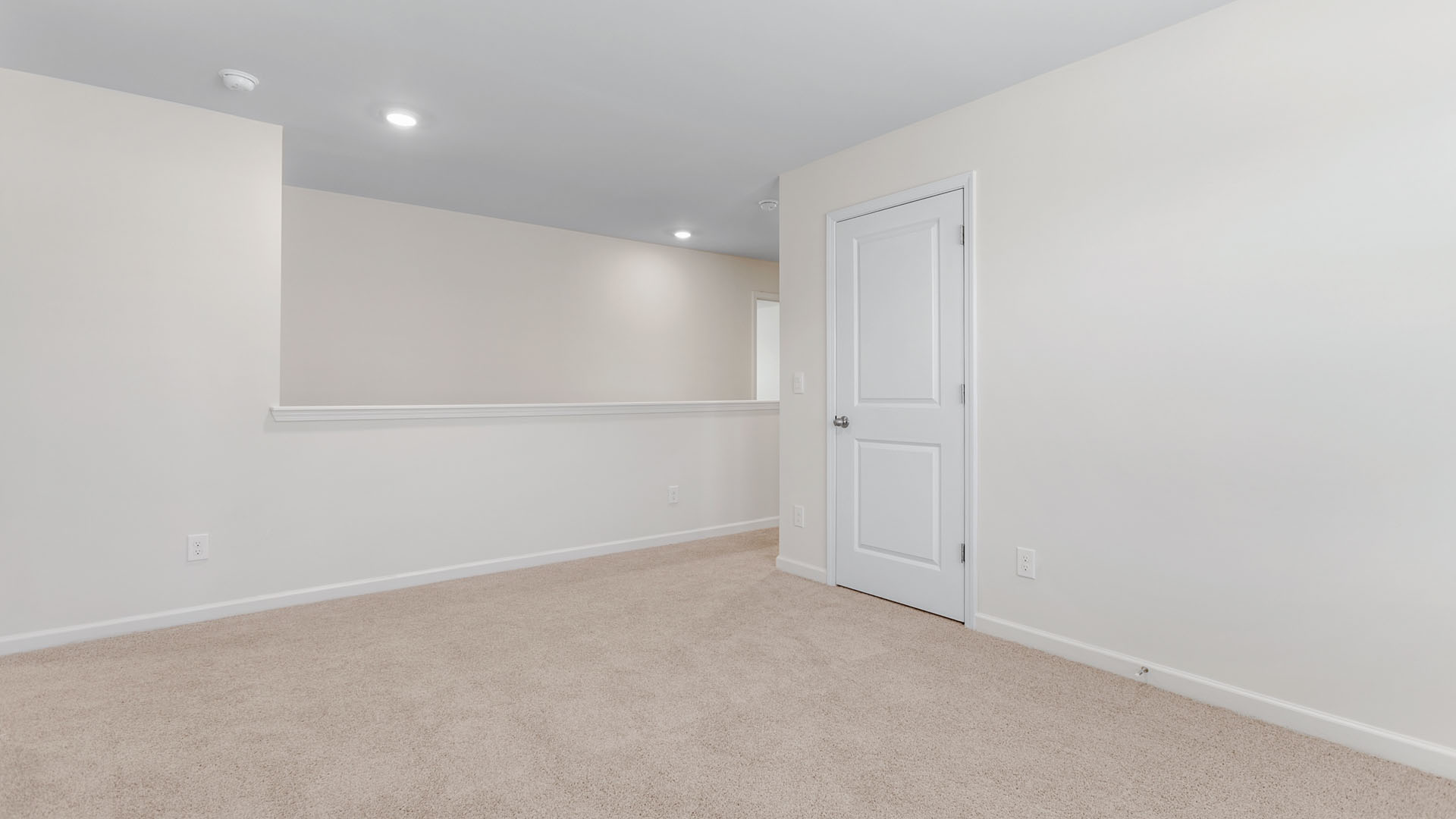 loft with closet and carpet