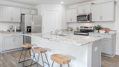 Kitchen View