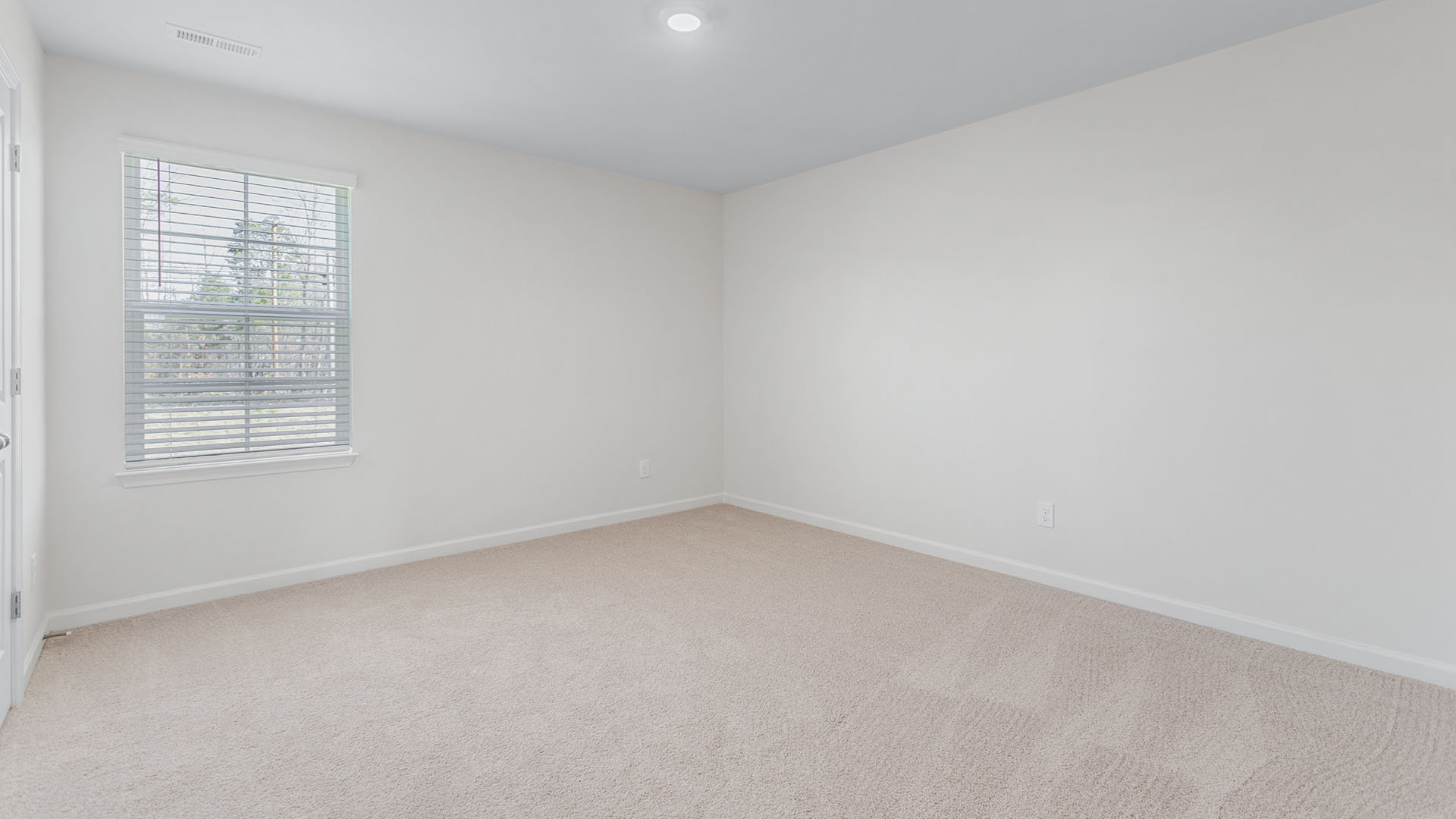 bedroom with carpet
