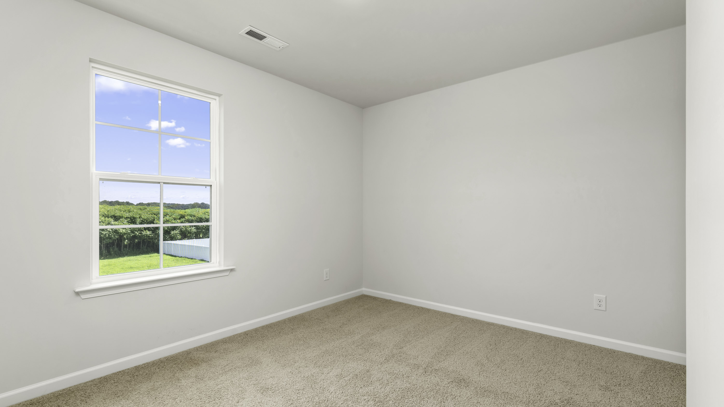 secondary bedroom with window and carpet