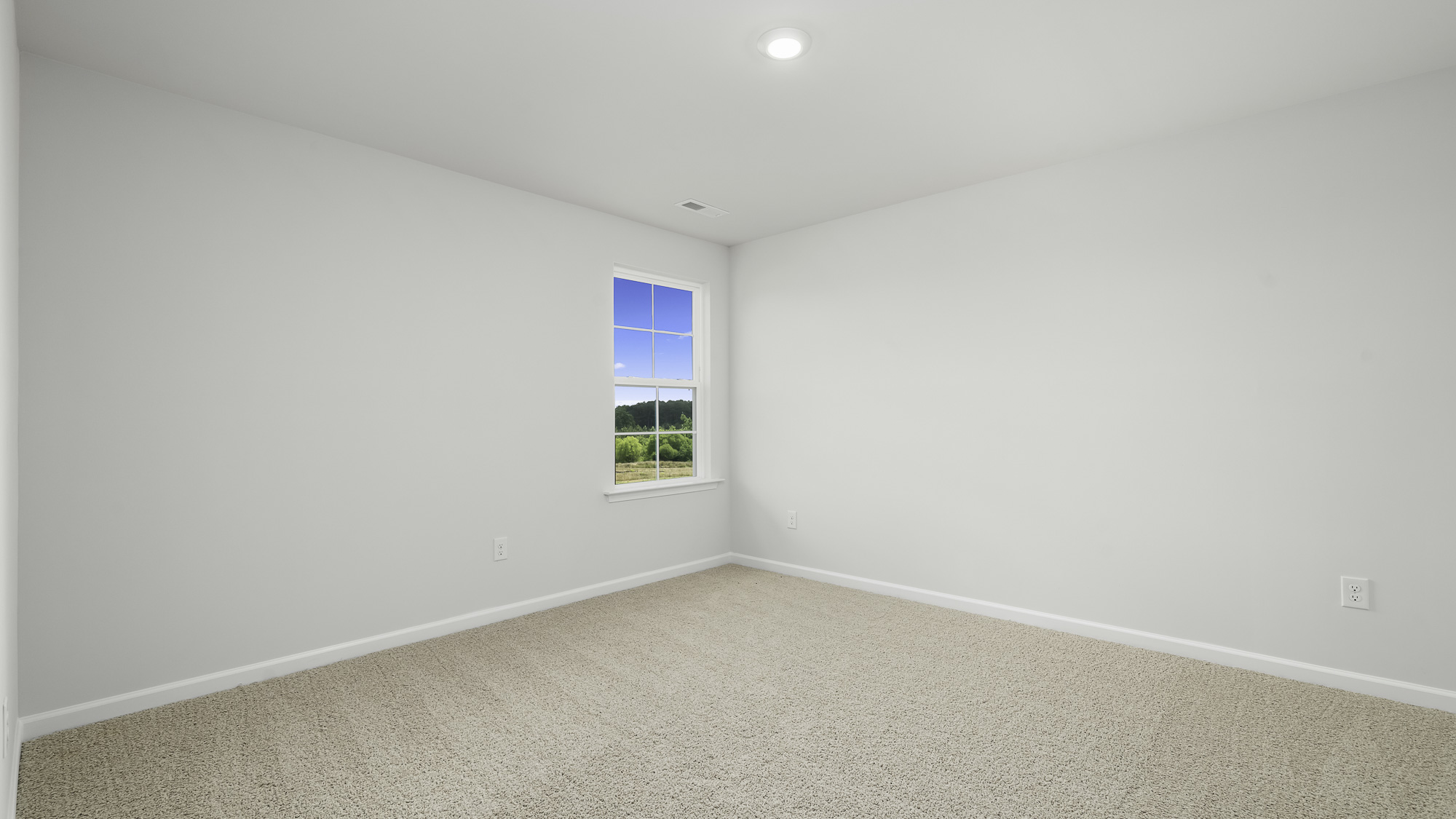 secondary bedroom with carpet