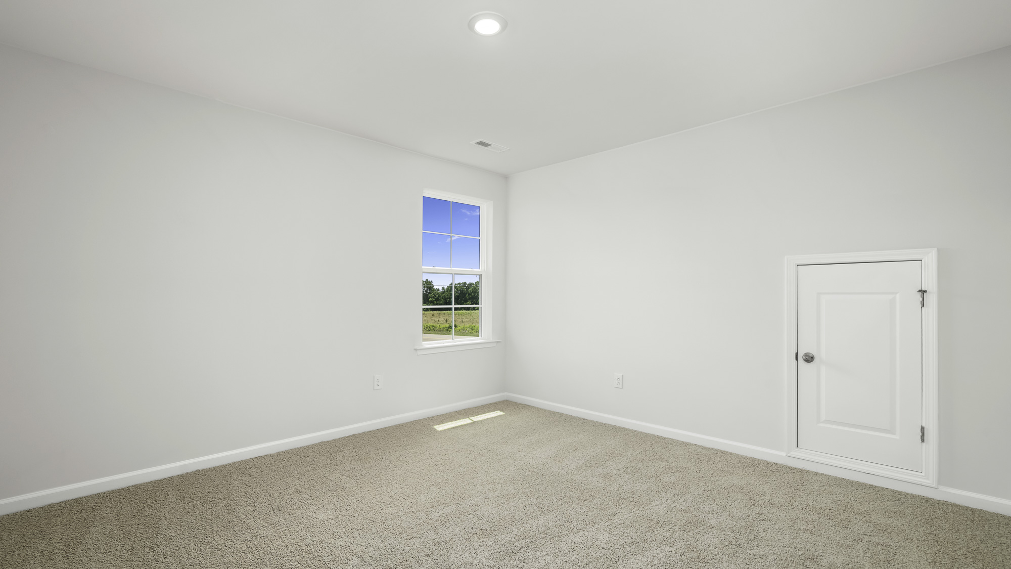 secondary bedroom with window and carpet