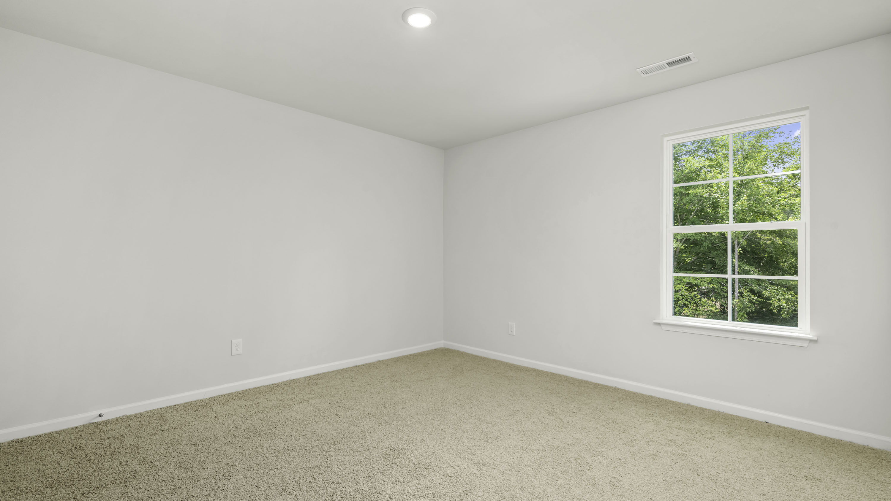 bedroom with carpet
