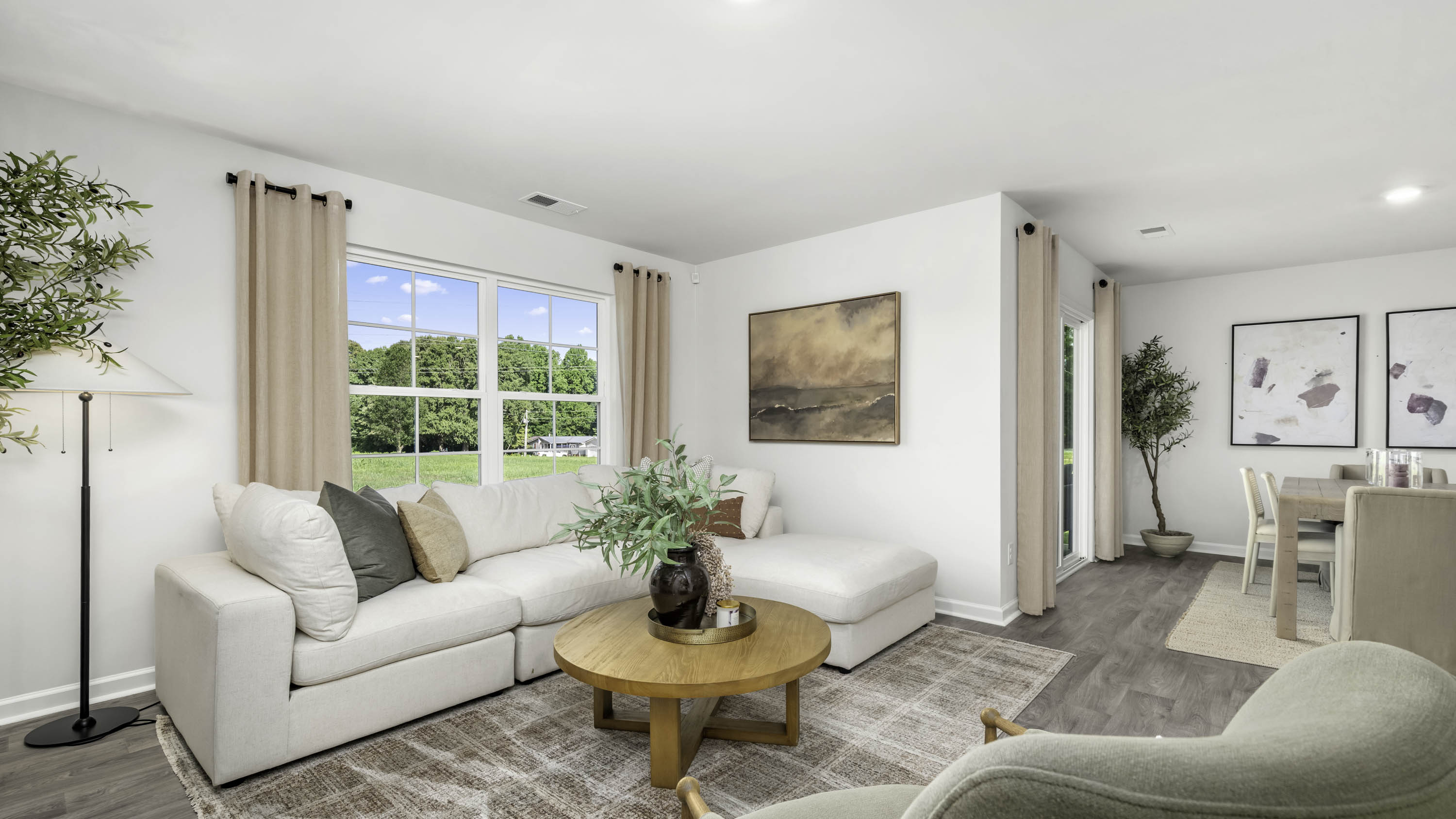 living room window