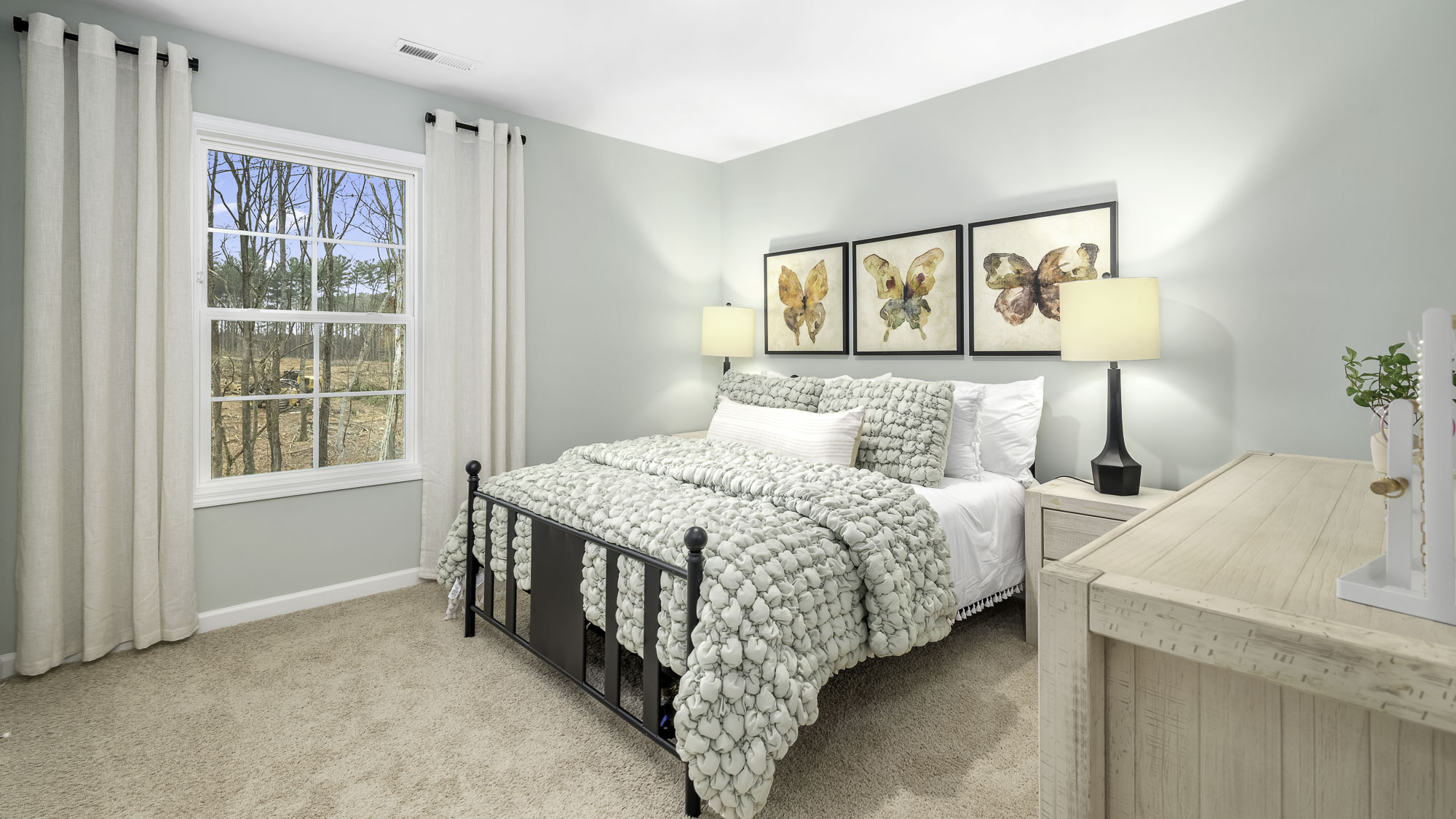 secondary with window and carpet