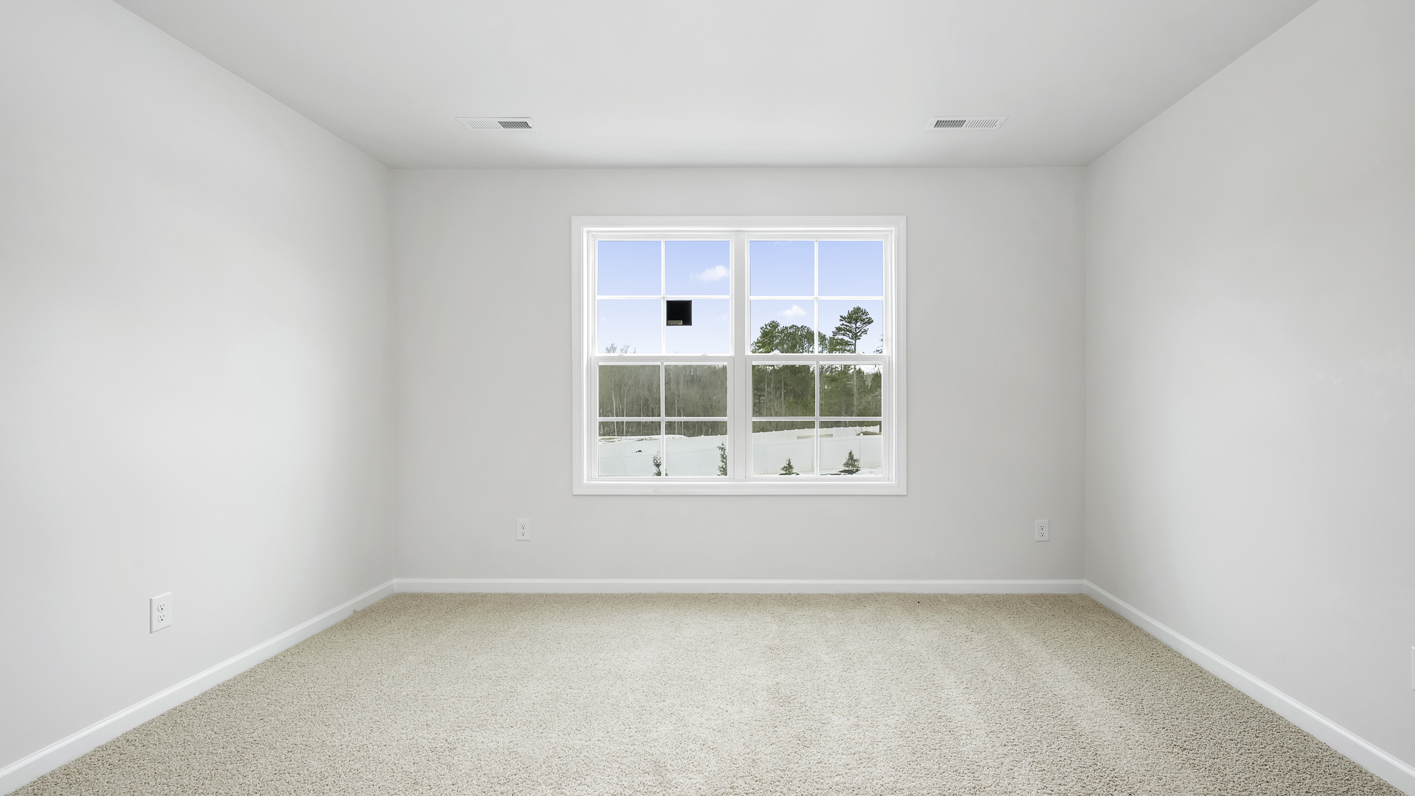 bedroom with carpet