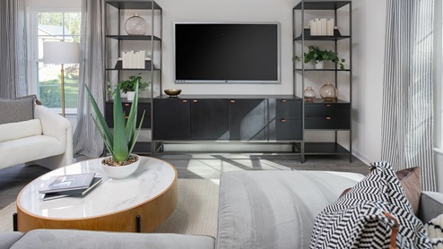 Living room with vinyl flooring