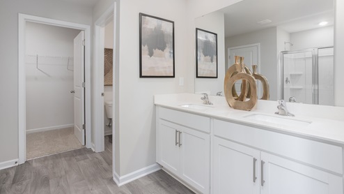 primary bathroom