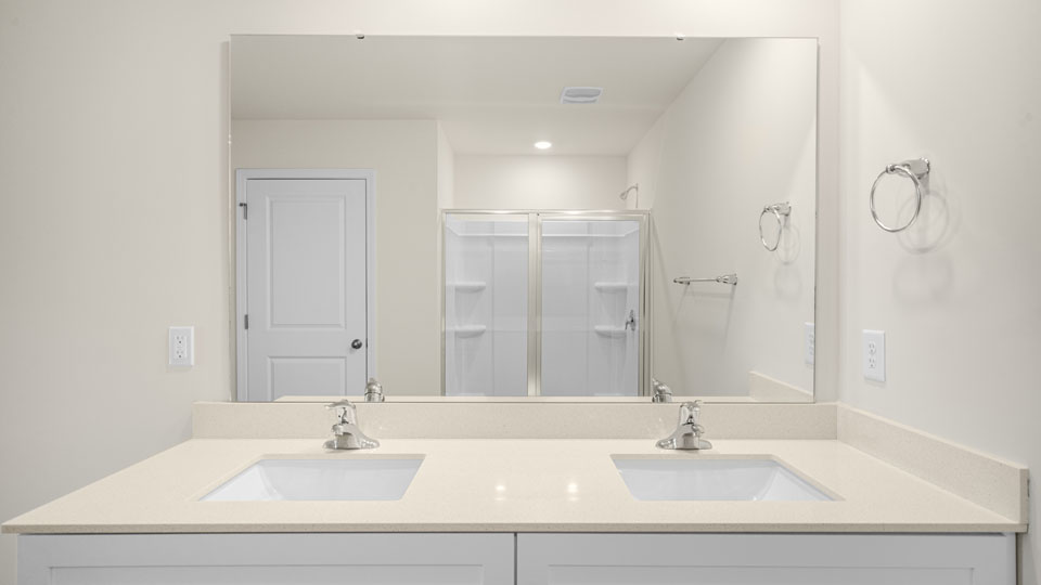 dual sinks
