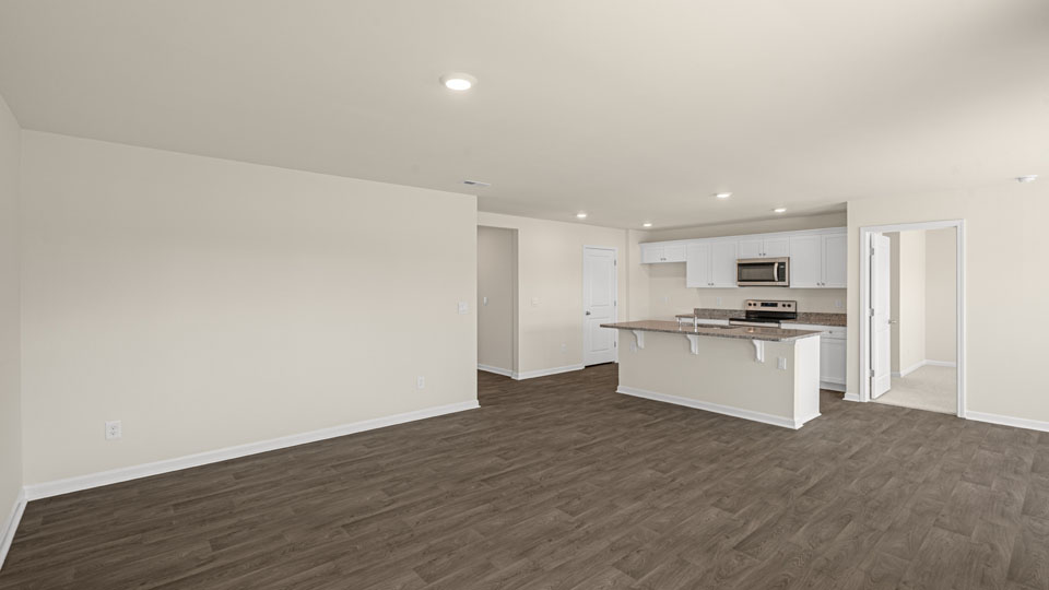 view of kitchen from living room
