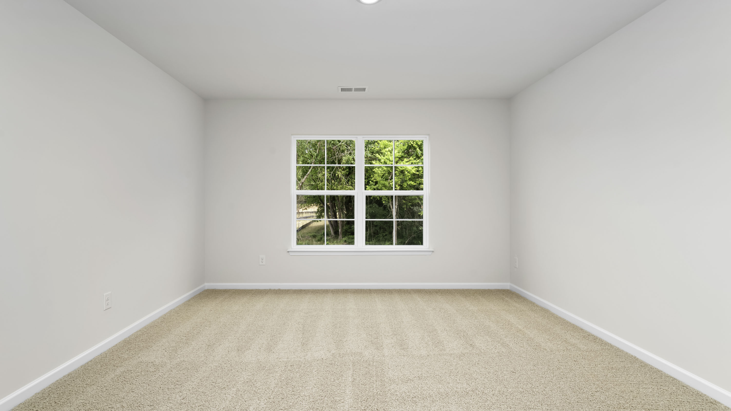 primary with carpet