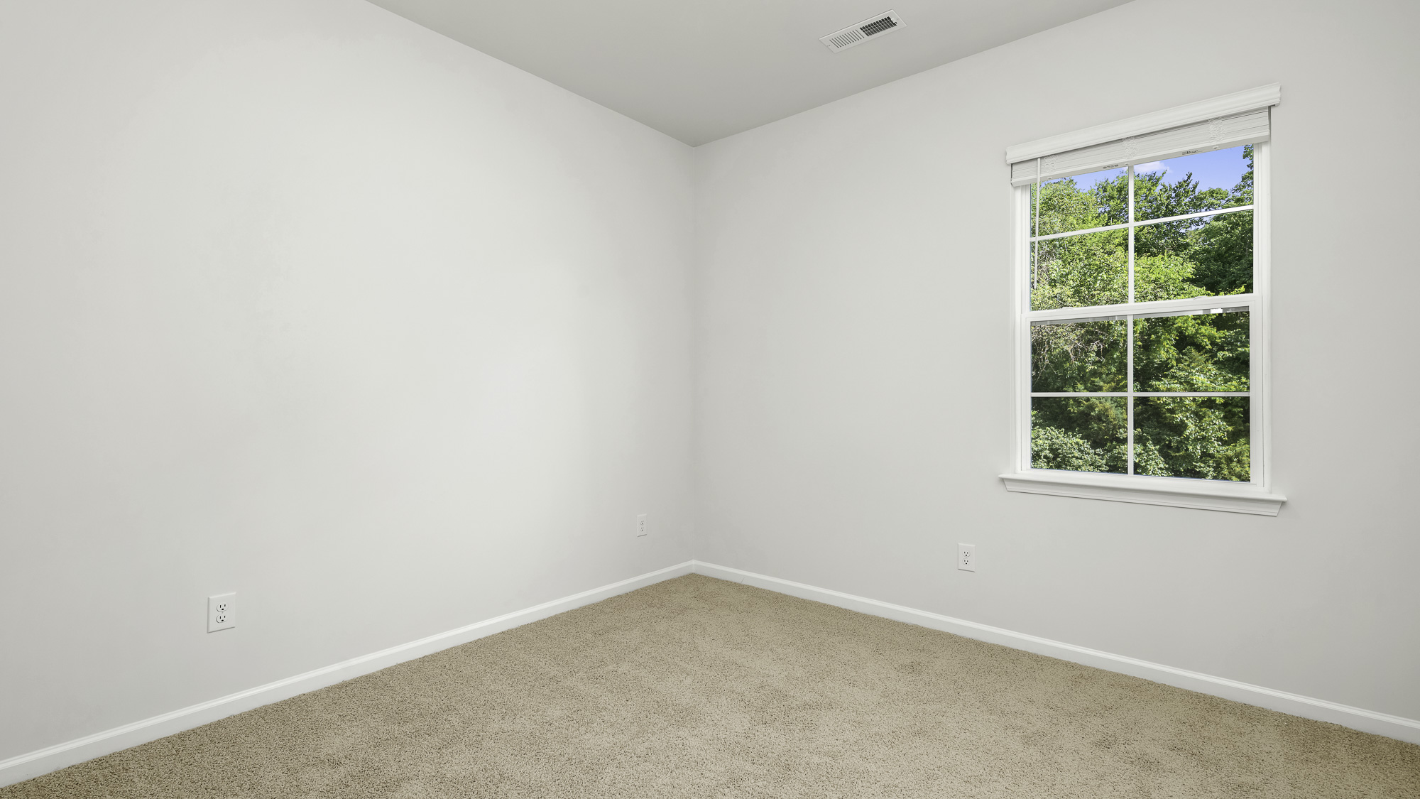 secondary bedroom carpet