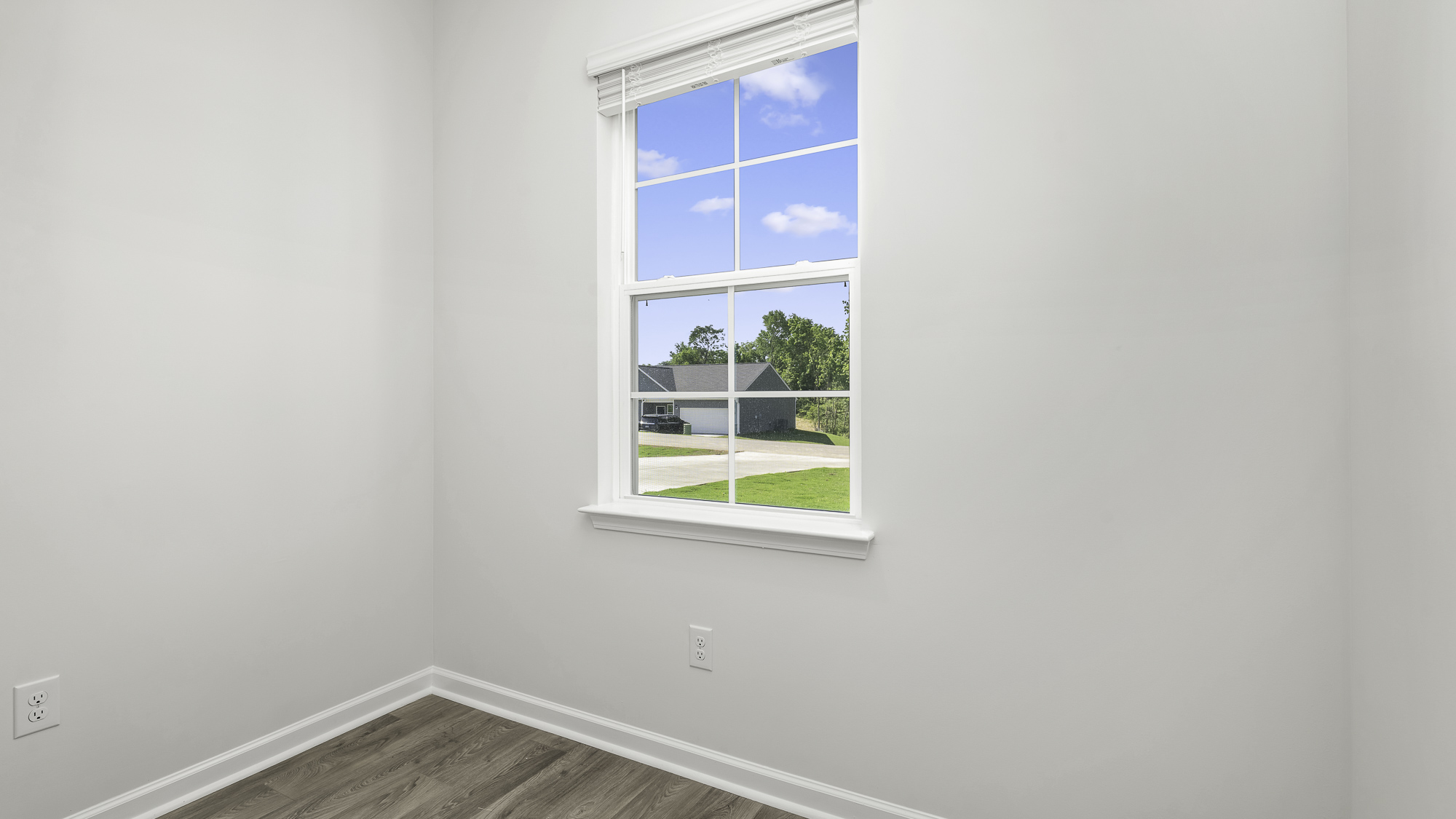 window