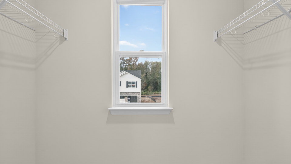 walk-in closet with wire shelving and window