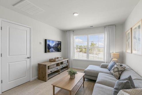 Loft with natural lighting and carpet flooring