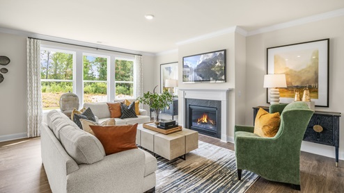 Norman Model Living area