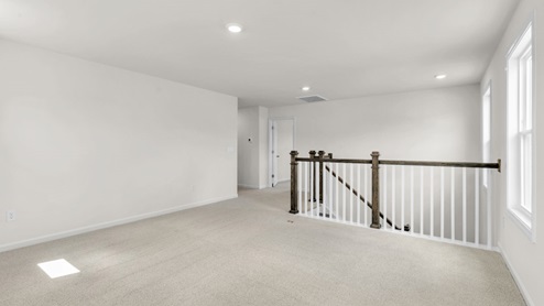 loft with carpet flooring