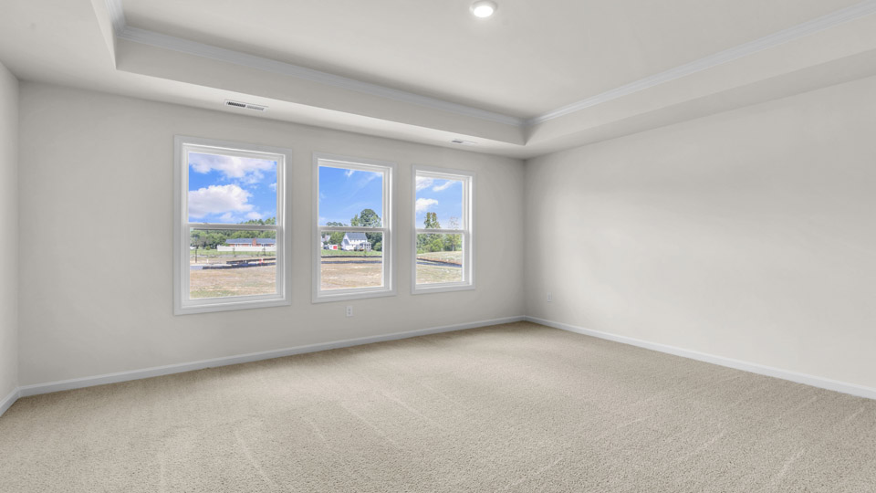 bedroom with tray ceiling and carpet flooring
