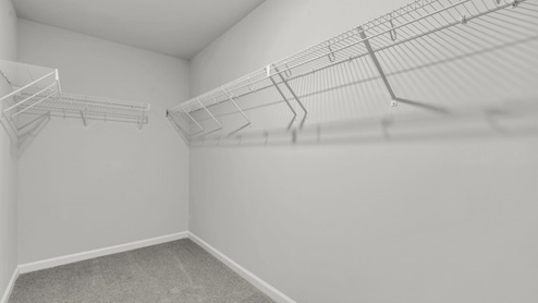 walk-in closet with wire shelving