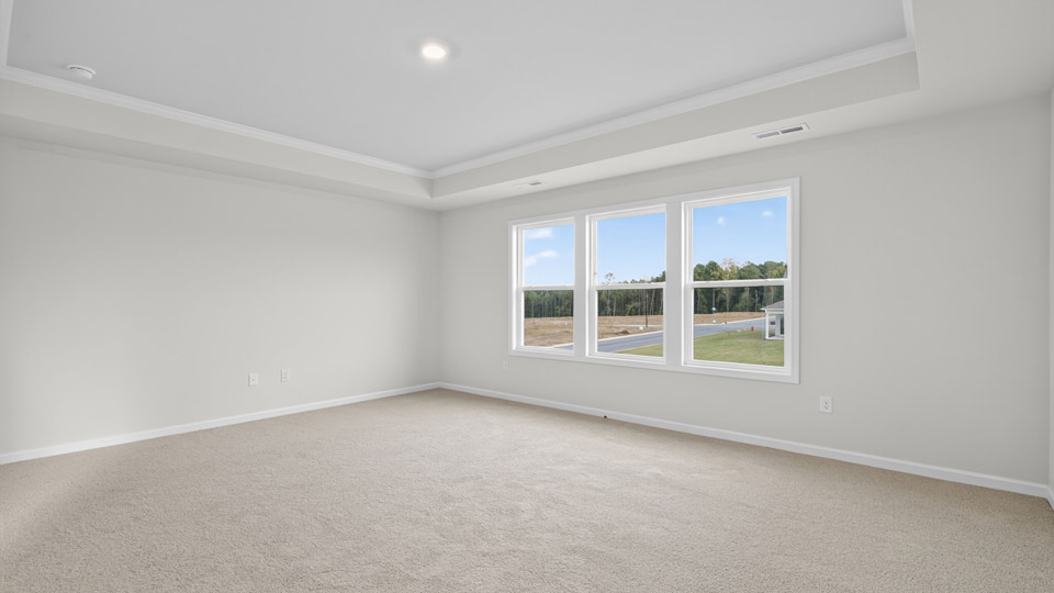 bedroom with tray ceiling and carpet flooring