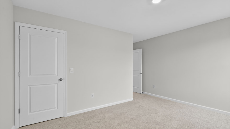 bedroom with tray ceiling and carpet flooring