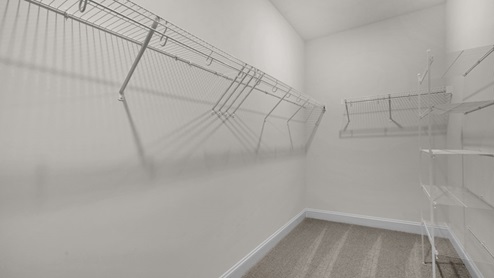 walk in closet with wire shelving