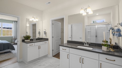 Bathroom with quartz countertop and walk in shower