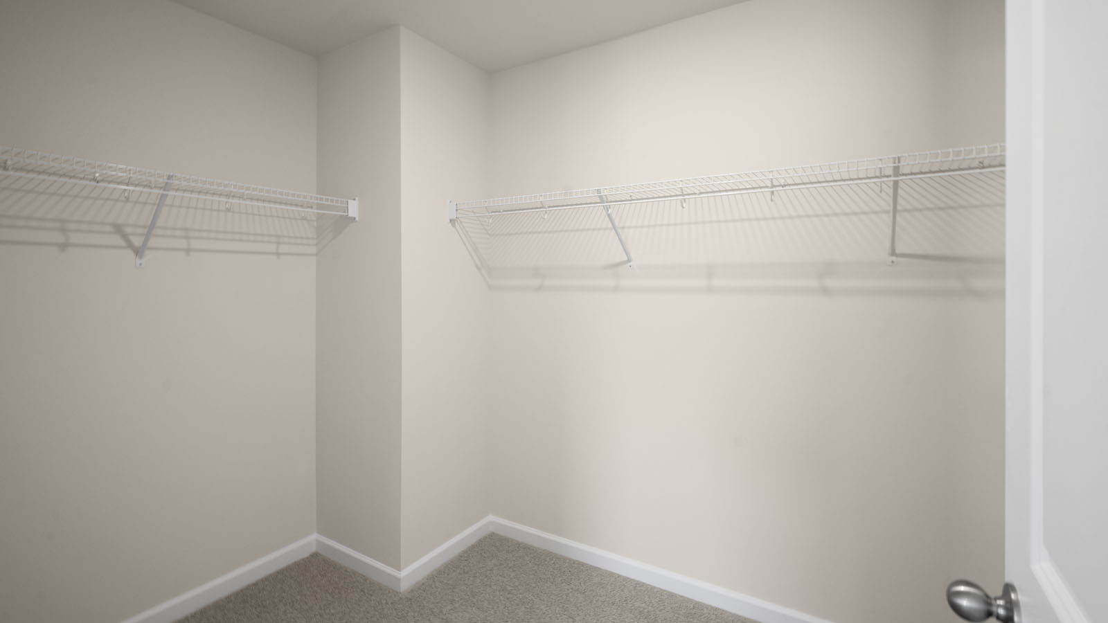 Walk-in closet with carpet flooring