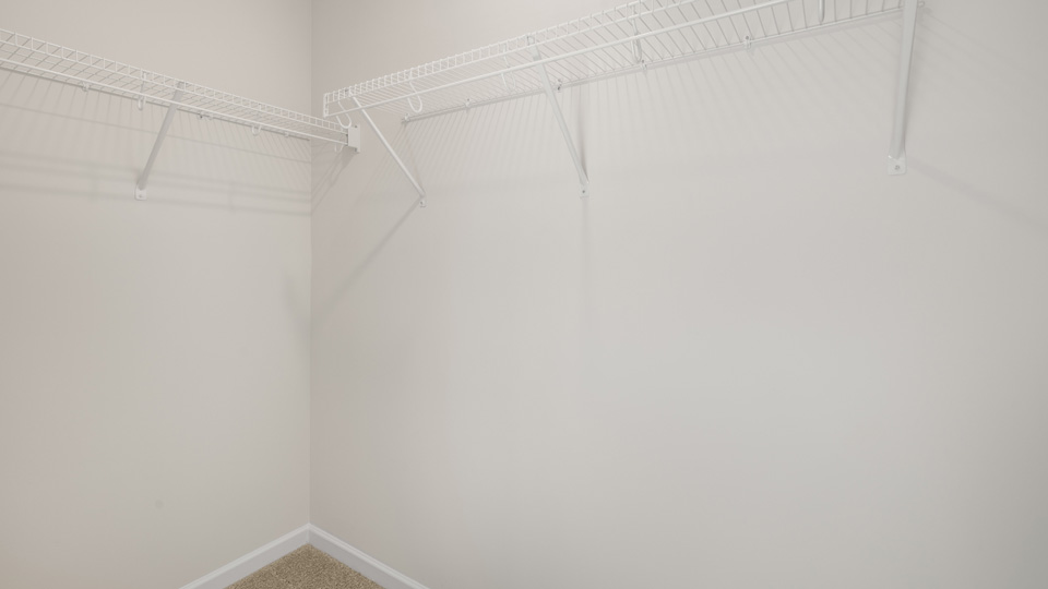 Walk-in closet with carpet flooring