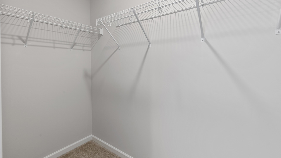 Walk-in closet with carpet flooring