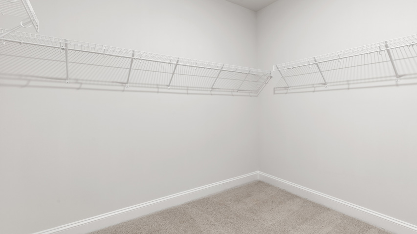 Walk-in closet with carpet flooring