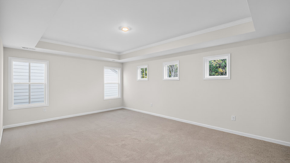 bedroom with tray ceiling and carpet flooring