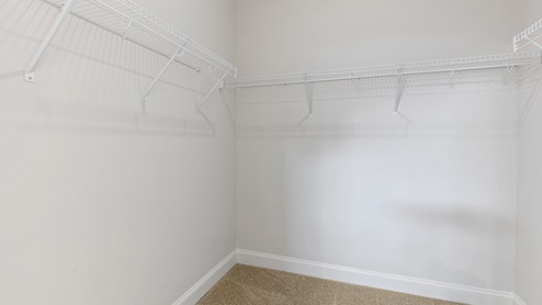 walk in closet with carpet flooring