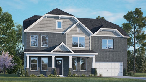 Norman D Rendering