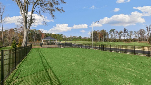 Dog park